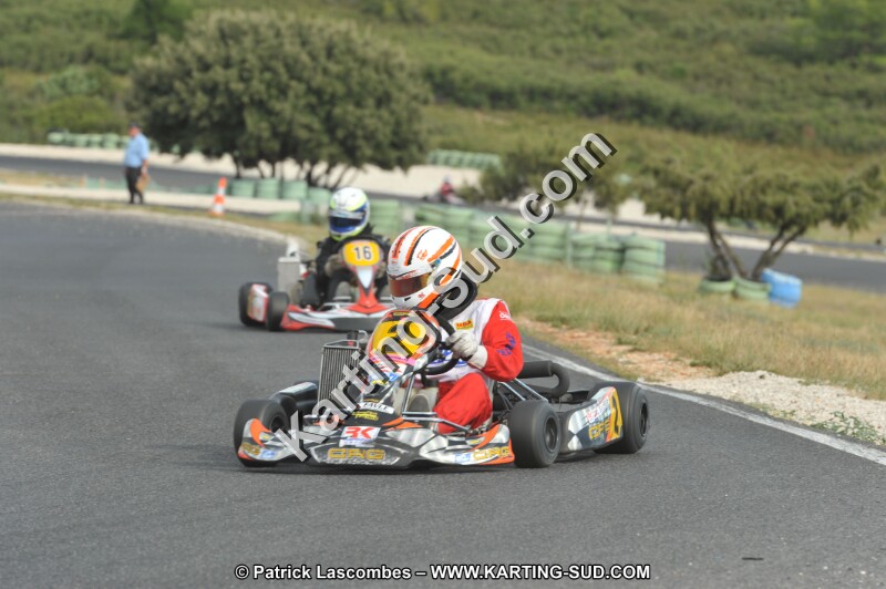 DSC (3887).JPG